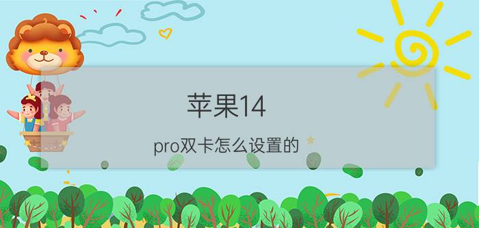 苹果14 pro双卡怎么设置的 苹果手机双卡双待怎么设置？